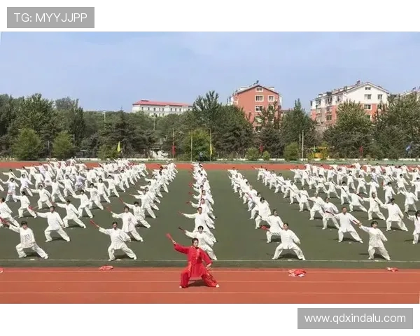 弘扬中华武术精神推动全民健身融合发展促进体育强国建设